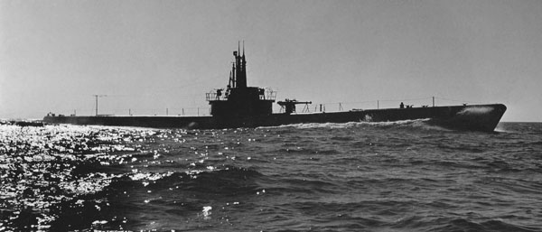 Capelin at Sea