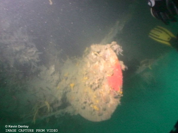 USS Perch - Propeller Blade