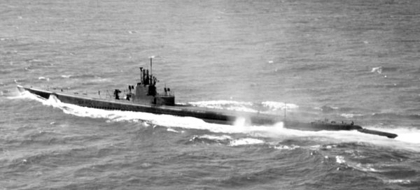 Muskallunge at Sea