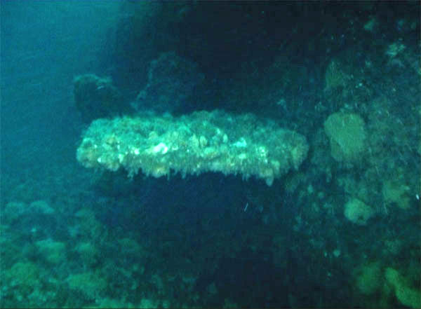 USS Wahoo - Photo 06