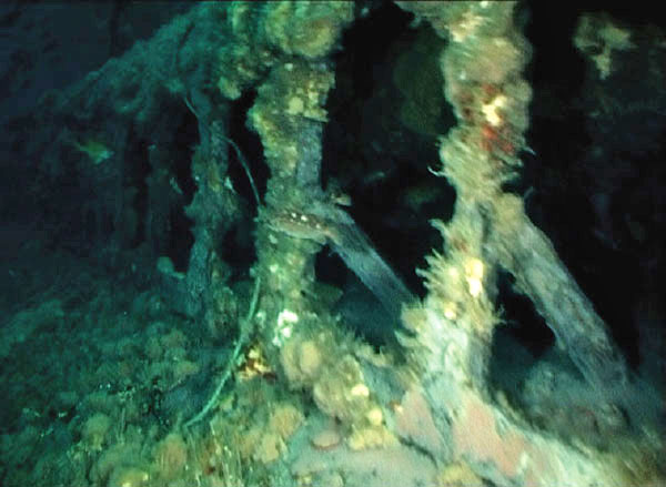 USS Wahoo - Photo 07