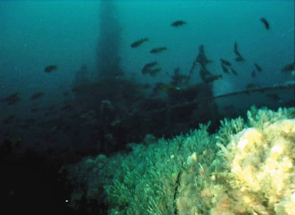 USS Wahoo - Photo 09