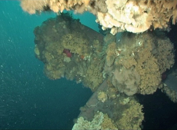 USS Wahoo - Photo 15